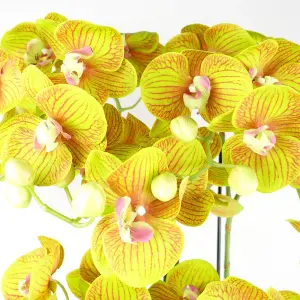 Large Orchid Artificial Yellow 41 REAL TOUCH flowers Botanik