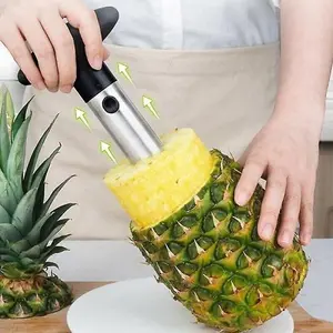 Fruit Pineapple Corer Slicer Peeler Cutter Parer Stainless Kitchen Easy Tool New