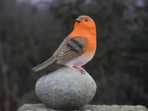 Robin Redbreast Perched On Stones Resin Bird Set Highly Detailed Garden Ornaments Christmas Decoration