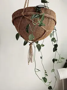 Hanging Baskets - Fibre/Latex/Jute - L30 x W30 cm