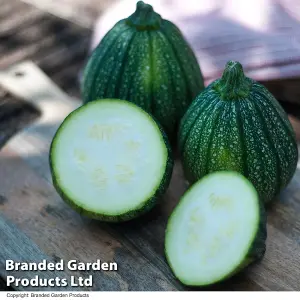 Courgette Cucurbita pepo Boldenice F1 1 Packet (6 Seeds)