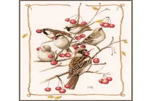 Counted Cross Stitch Kit: Sparrows and Currant Bush (Evenweave)