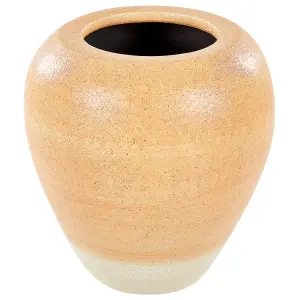 Decorative Vase SKIONE Ceramic Light Brown