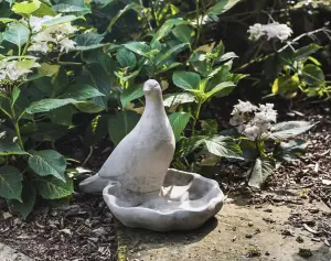 Floor level Birdbath with Perching Pigeon / Bird feeder