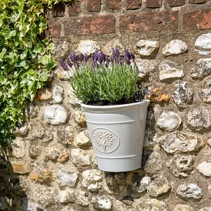 Blenheim Wall Pot Outdoor Planter - Off White