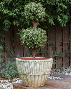 Terracotta Plant Pot 50 cm Green NYSSA