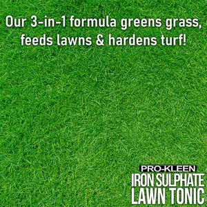 Pro-Kleen Lawn Tonic Liquid Iron Sulphate Quality Ferrous Conditioner Fertiliser Grass Greener Turf Hardener 20L