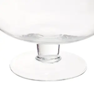 Maison by Premier Ambra Clear Glass Cognac Vase