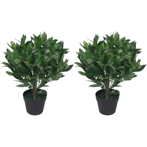 Pair of 50cm Dwarf Artificial Bay Trees Laurel Topiary Bushes