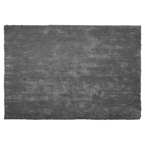 Shaggy Area Rug 140 x 200 cm Dark Grey DEMRE