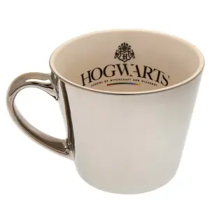 Harry Potter Mirror Mug & Plate Set Multicoloured (One Size)