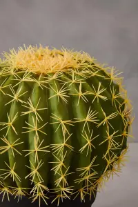 Fiori Cactus Artificial Plant Foliage