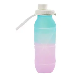 600ml Collapsible Silicone Water Bottle for Travel Gym Blue and Purple