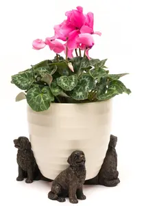 Newfoundland Plant Pot Feet - Set of 3