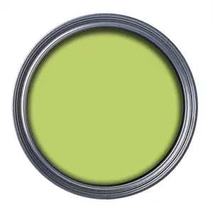 Ronseal Outdoor Garden Paint 2.5L Lime Zest