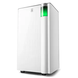 Avalla X-300 Dehumidifier with Laundry Mode 10L/Day: Damp, Mould & Moisture, Low Power Consumption, 38m² Home Coverage