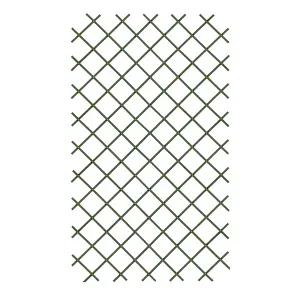 Green Plastic Trellis (W)100cm x (H)200cm