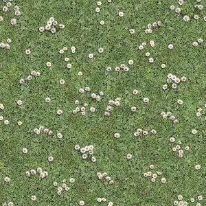 Crazy Daisy Vinyl Flooring 2m x 2m (4m2)