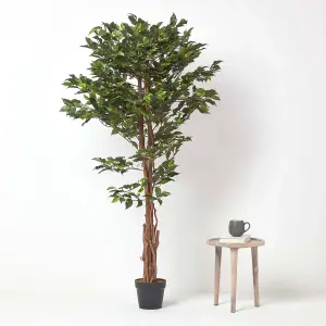 Homescapes Green Artificial Ficus Tree with Twisted Real Wood Trunk, 6 Ft