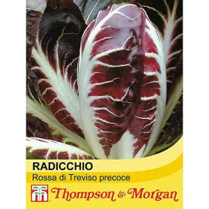 Radicchio Rossa Di Treviso Precoce 1 Seed Packet