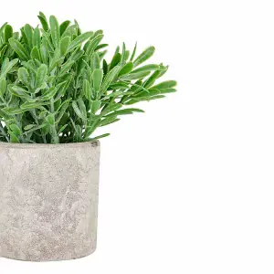 Hill Interiors Buxus Potted Stone Effect Faux Plant