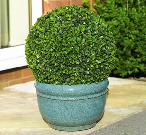 Artificial Topiary Boxwood Ball With Chain 28cm