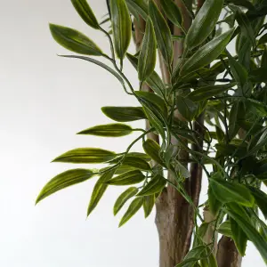 140cm UV Resistant Ruscus Tree- 2716 leaves