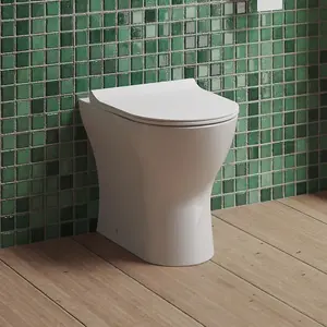 Dezine Alto Back To Wall Toilet with Soft Close Seat