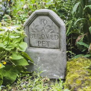 To A Beloved Pet' Stone Cast Tombstone Memorial