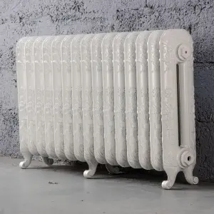 Arroll Daisy Cast iron White 15 Column Radiator, (W)1009mm x (H)597mm