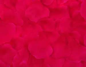 Best Artificial Silk Rose Petals / Fuchsia