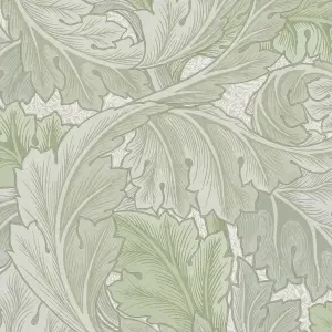 William Morris Misted Sage Acanthus Smooth Wallpaper