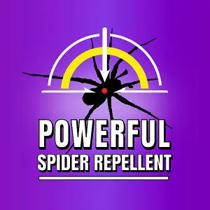 Repel-A-Pest - Spider Repellent Deterrent Spray - Eco-Friendly Pest Control Defence, Contains Peppermint & Geraniol  - 500ml