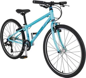 Squish 24 Kids Mountain Bike In Mint