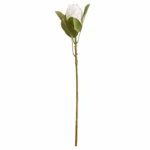 Closed Protea Artificial Flower (Single Stem) - L12 x W8 x H67 cm - White