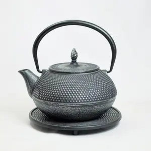 Bloomsbury Market Cloelia 1.2ml Solid Colour Teapot Silver/Black