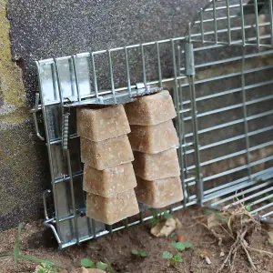 The Big Cheese, Poison-Free, Ready-Baited, Multi-Catch Rat Cage Trap