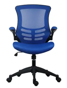 Rainbow Zebra Blue Mesh Office Chair with Black Base and Folding Armrests