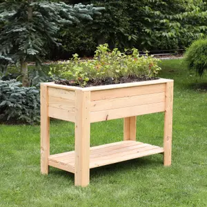 Dan Larch timber Shallow planter with self 800x400mm