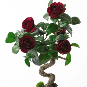 Bloom Artificial Ruby Camellia Bonsai Tree in Planter - Faux Fake Flower Houseplant, Indoor Home Decoration - H37 x W20cm