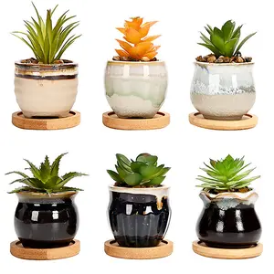 simpa 6PC Mixed Shape Pattern Ceramic Plant Pots with Bamboo Base