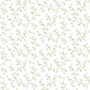 Galerie Pretty Prints Olive Green Allisons Floral Trail Wallpaper Roll