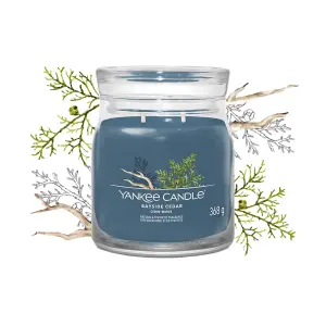 Yankee Candle Signature Medium Jar Bayside Cedar