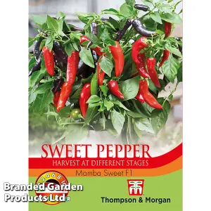 Pepper (Sweet) Mamba Sweet F1 1 Seed Packet (6 Seeds)