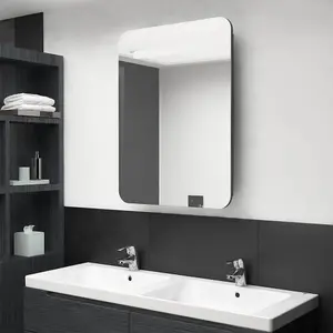 Berkfield LED Bathroom Mirror Cabinet Anthracite 60x11x80 cm