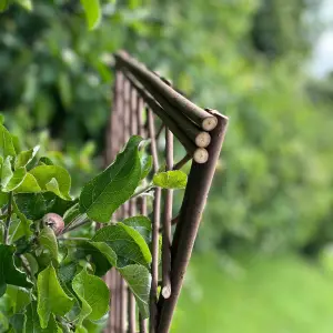 Set of 3 Willow Trellis Framed Panel (120cm x 45cm)