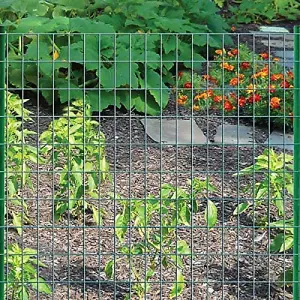 simpa 1M x 10M Green PVC Coated Galvanised Steel Wire Garden Fencing