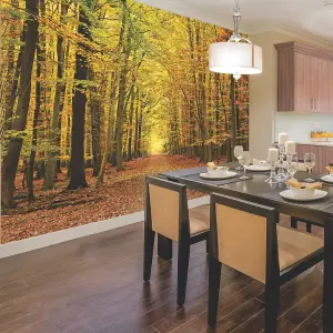 Origin Murals Outdoor Nature Autumn Forest Matt Smooth Paste the Wall Mural 350cm wide x 280cm high