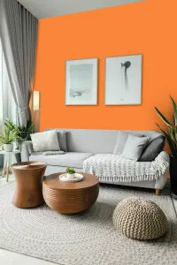 Leyland Trade Vinyl Soft Sheen Walls & Ceilings Emulsion Paint Pastel Orange (RAL 2003) - 2.5L