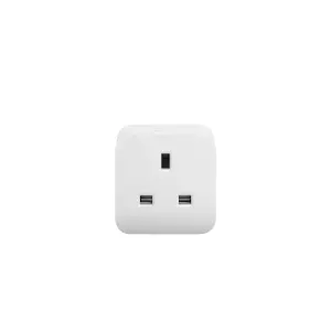 Philips Hue Smart Plug Mains fed